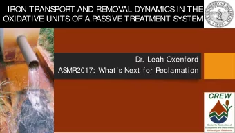 IRON TRANS  PORT AND REMOVAL DYNAMICS  IN THE  OXIDATIVE UNITS  OF A P  AS  S  IVE TREATMENT S  YS