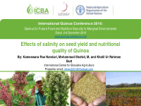 effects of salinity on seed yield and nutritional quality