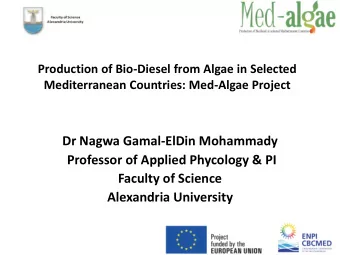 Dr Nagwa Gamal-ElDin Mohammady  Professor of Applied Phycology &amp; PI  Faculty of Science