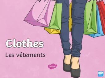 Success Criteria  Success Criteria  Statement 1 Lorem ipsum dolor sit amet, consectetur