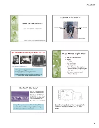 ? ? ?  Photo by A. Dunlap  (Thanks to Aimee Dunlap for designing this lecture.)  Open the Black Box