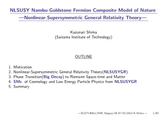 NLSUSY Nambu-Goldstone Fermion Composite Model of Nature  Nonlinear-Supersymmetric General