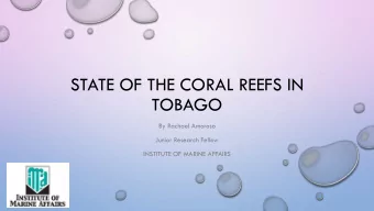 STATE OF THE CORAL REEFS IN  TOBAGO  By Rachael Amoroso  Junior Research Fellow  INSTITUTE OF