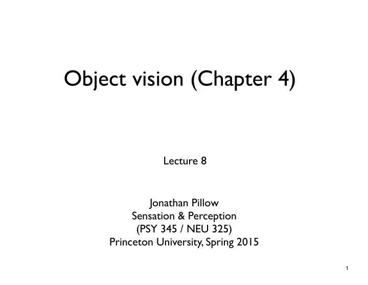 object vision chapter 4