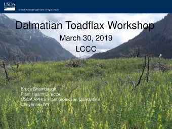 Dalmatian Toadflax Workshop  March 30, 2019  LCCC  Bruce Shambaugh  Plant Health Director  USDA