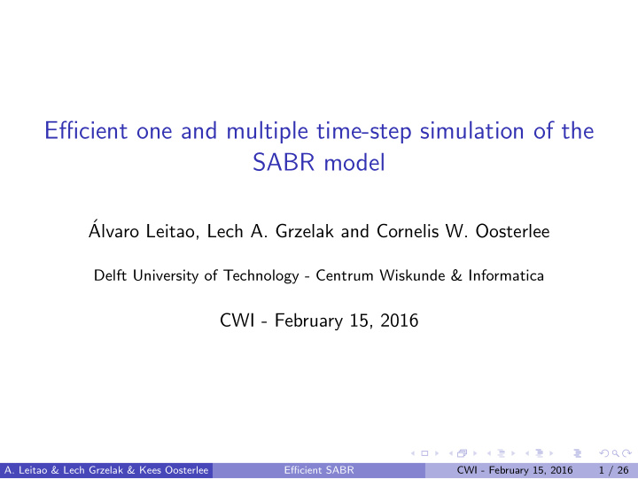 efficient one and multiple time step simulation of the