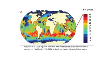 th Nov. 2017 snapshot 28 th  Record-breaking sea temps  have cascading effects on food webs