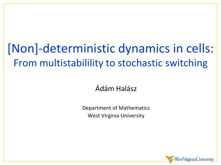 non deterministic dynamics in cells