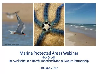 Marin  ine Protected Areas Webin  inar  Nick Br  Brod  odin  Ber  Berwickshir  ire an  and Nor