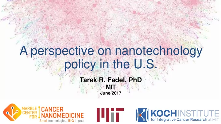 a perspective on nanotechnology policy in the u s