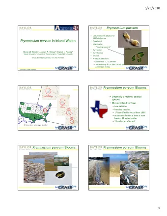 Prymnesium parvum  Documented in 1920s and 1930s in Europe Prymnesium parvum in Inland Waters