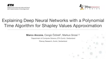Explaining Deep Neural Networks with a Polynomial  Time Algorithm for Shapley Values Approximation
