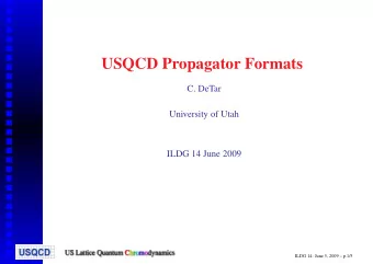USQCD Propagator Formats  C. DeTar  University of Utah  ILDG 14 June 2009  ILDG 14: June 5, 2009