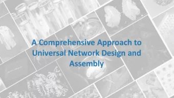 Universal Network Design and  Assembly  Introduction  DNA Assembly  This year, we improved upon