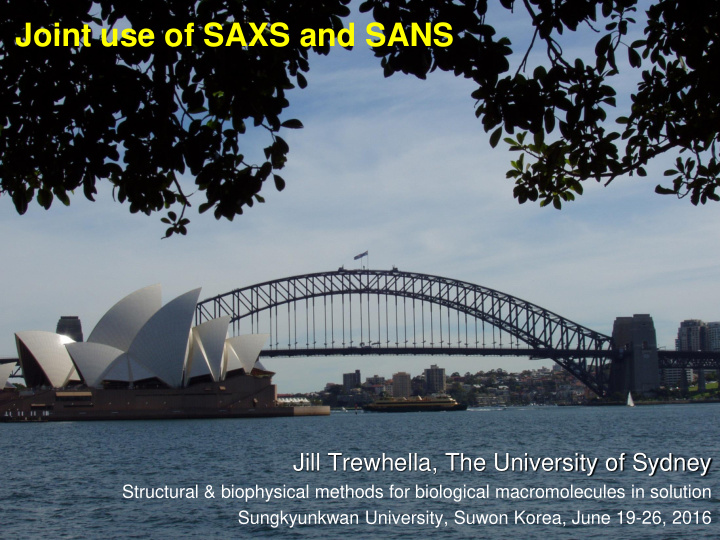 joint use of saxs and sans