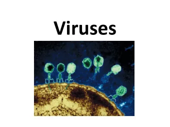 Viruses  What is a virus?  What is a virus?  A small infectious agent that reproduces only