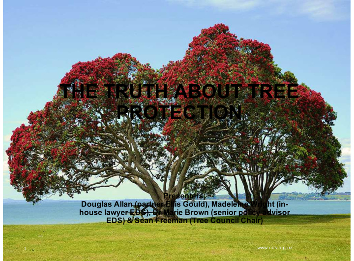 the truth about tree protection