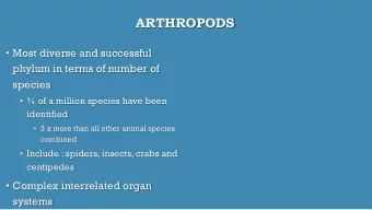 ARTHROPODS  Most diverse and successful  phylum in terms of number of  species   of a