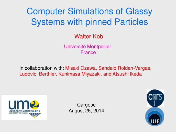 systems with pinned particles