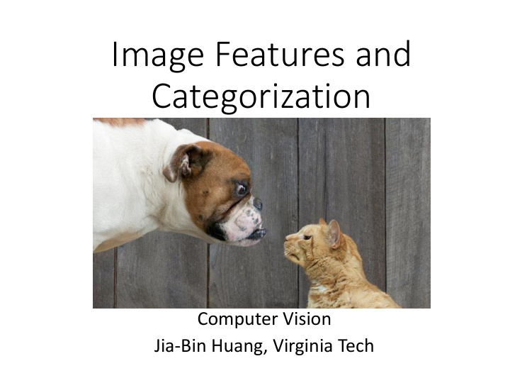 image features and categorization