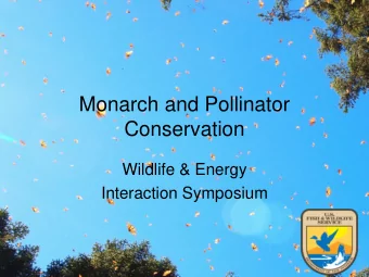Conservation  Wildlife &amp; Energy  Interaction Symposium  Monarch Life Cycle  Spring  Migration