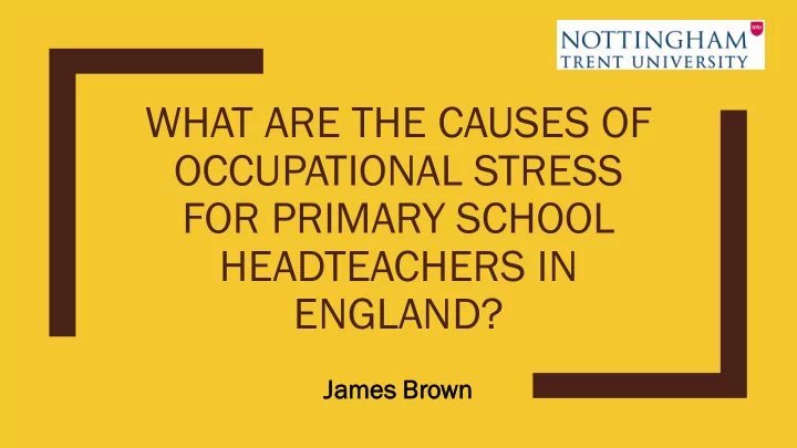 what are the causes of occupational stress for primary