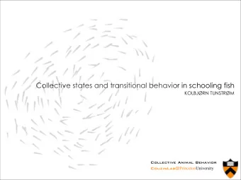 Collective states and transitional behavior in schooling fish  KOLBJRN TUNSTRM  Collective