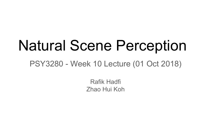 natural scene perception