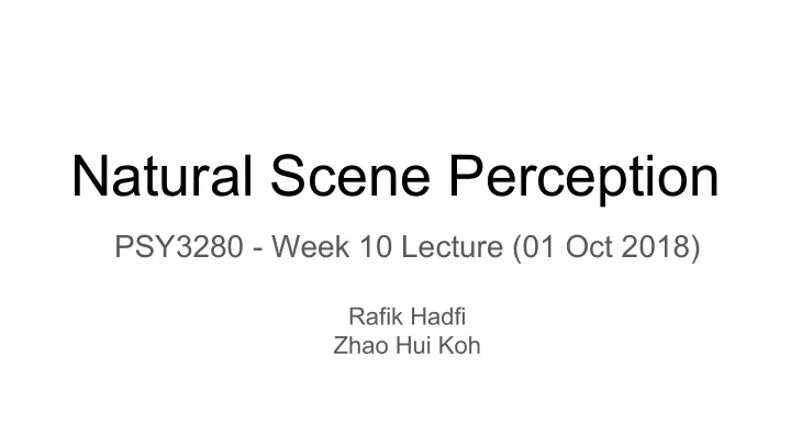 natural scene perception