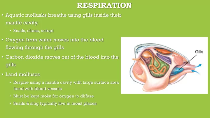 respiration