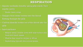 RESPIRATION  Aquatic mollusks breathe using gills inside their  mantle cavity.  Snails,