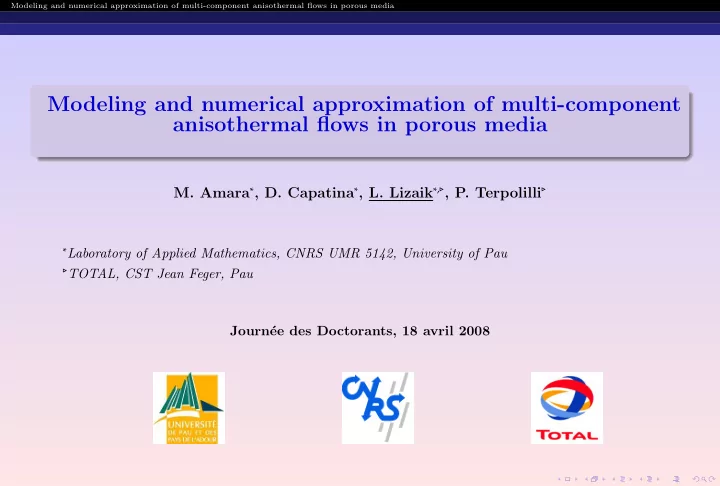 modeling and numerical approximation of multi component