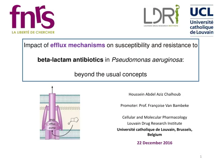 impact of efflux mechanisms on susceptibility and