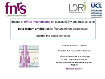Impact of efflux mechanisms on susceptibility and resistance to beta-lactam antibiotics in