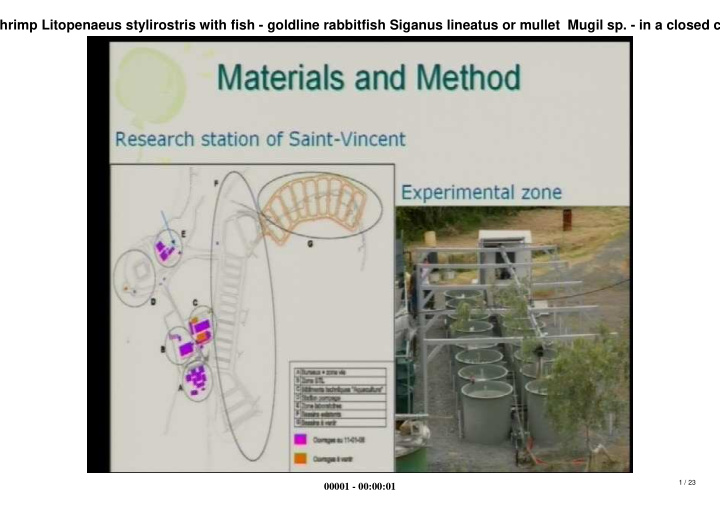 feasibility of polyculture of blue shrimp litopenaeus