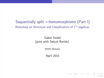 Sequentially split  -homomorphisms (Part I) Workshop on Structure and Classification of C