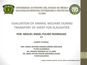 EVALUATION OF ANIMAL WELFARE DURING TRANSPORT OF SHEEP FOR SLAUGHTER. POR: MIGUEL ANGEL PULIDO