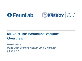 Overview  Dave Pushka  Mu2e Muon Beamline Vacuum Level 3 Manager  9 Feb 2017  Outline of Items