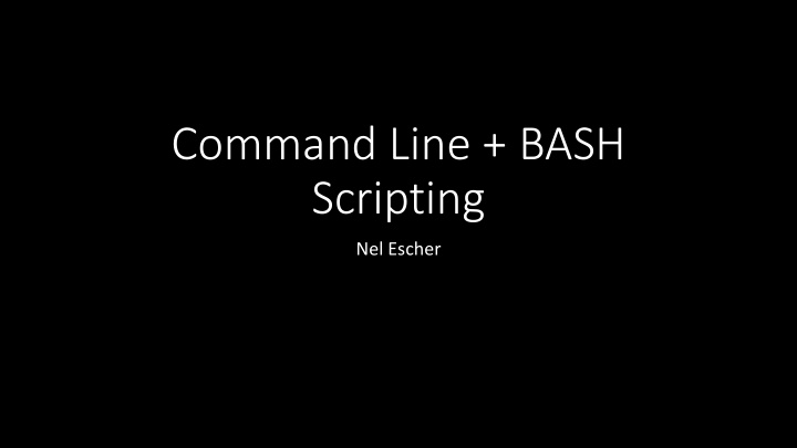 command line bash scripting