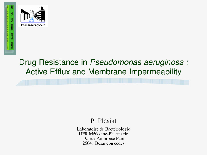 drug resistance in pseudomonas aeruginosa active efflux