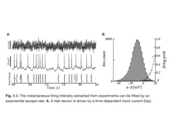 2008, nature  Shlens et al 09  Pillow et al, 2008  Pillow et al, 2008  Whats role of coupling