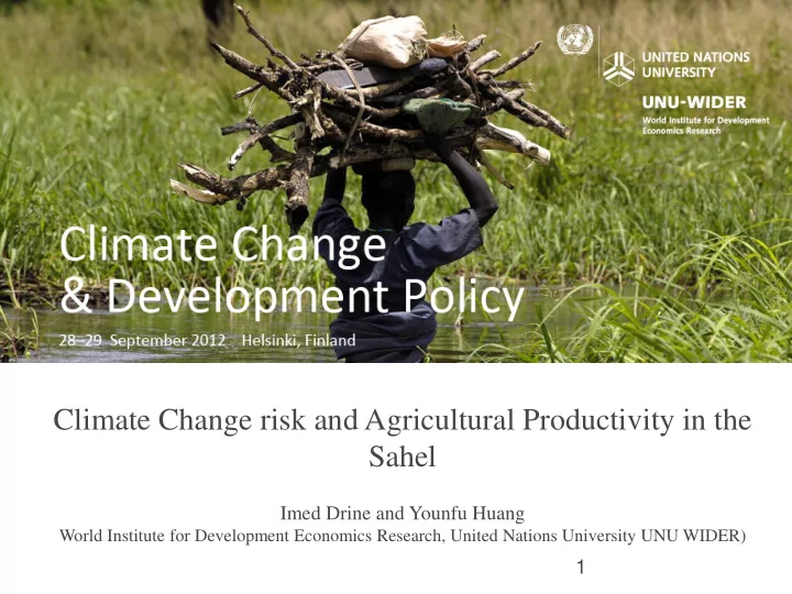 climate change risk and agricultural productivity in the