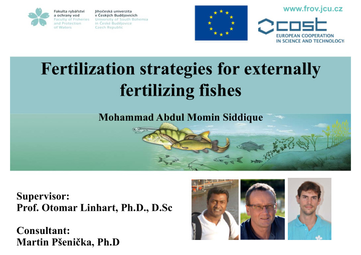 fertilization strategies for externally fertilizing fishes
