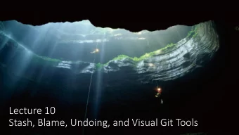 Lecture 10  Stash, Blame, Undoing, and Visual Git Tools  Schedule  Only a few classes left