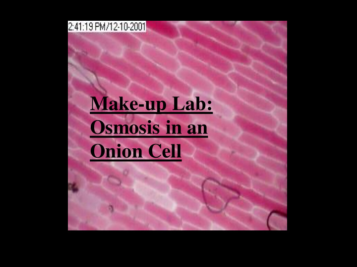 make up lab osmosis in an onion cell