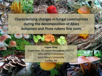 MSc (APSC) Candidate  Saint Marys University  Halifax, NS  Why do we care?  &lt; 2 mm diam.