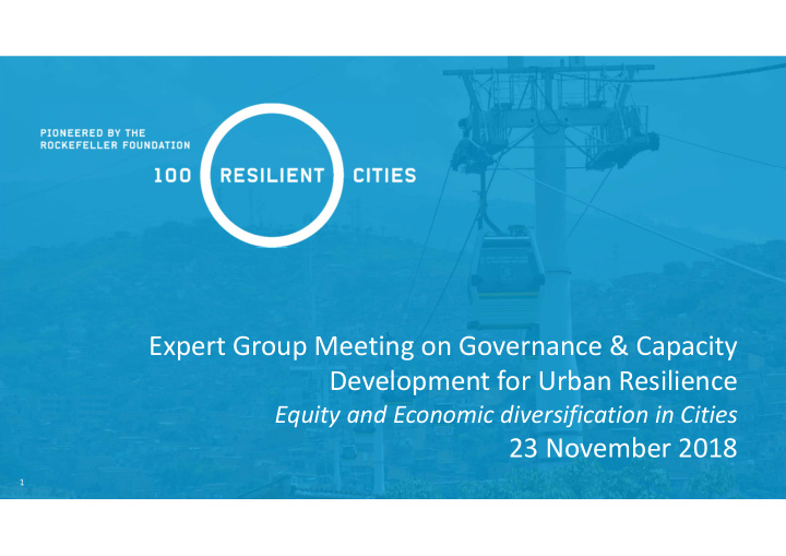 expert group meeting on governance capacity development