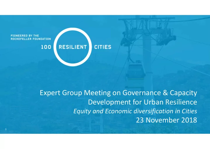 expert group meeting on governance capacity development