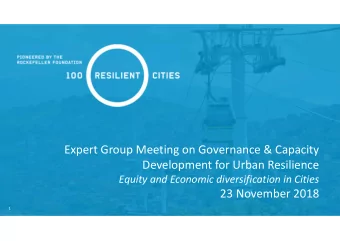 Expert Group Meeting on Governance &amp; Capacity  Development for Urban Resilience  Equity and