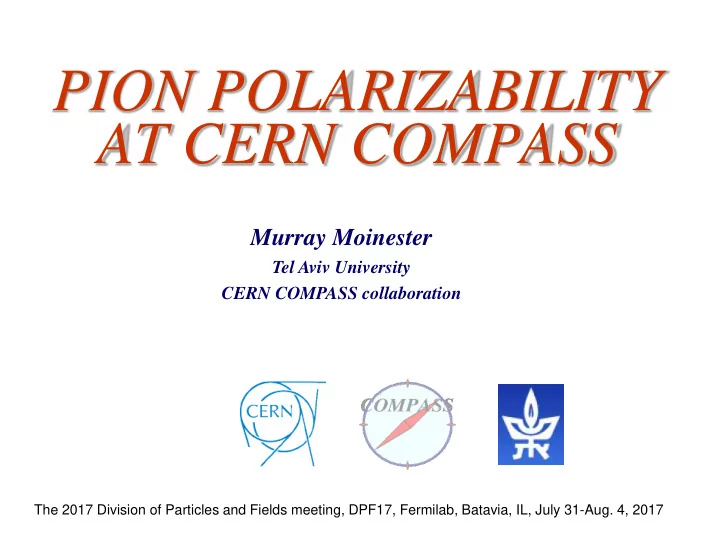 pion polarizability
